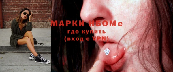 молекула духа Лабытнанги
