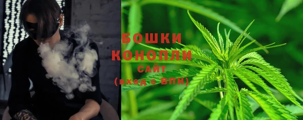 хмурый Лагань