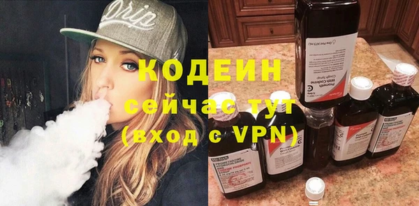 дурь Ладушкин
