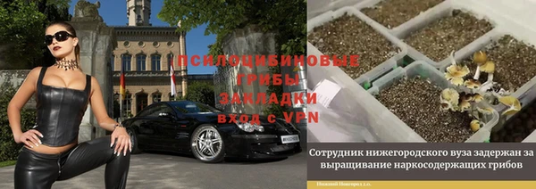 дурь Ладушкин