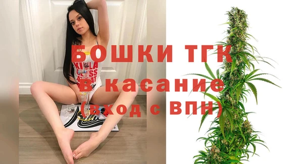 молекула духа Лабытнанги
