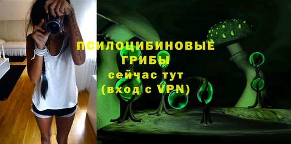 молекула духа Лабытнанги