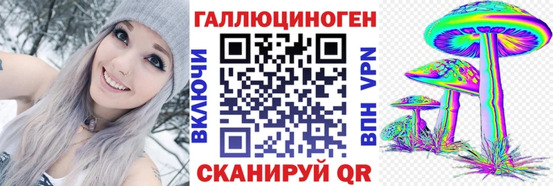 блэк спрут ссылка Кубинка Псилоцибиновые грибы Magic Shrooms