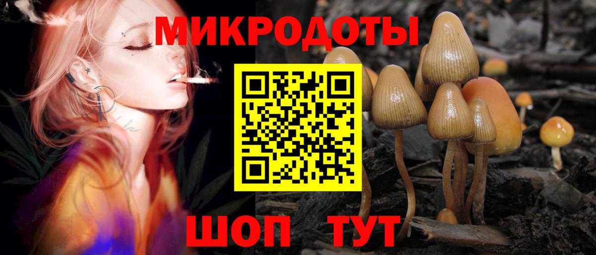 Псилоцибиновые грибы ЛСД  магазин продажи   Кубинка  Вход с VPN  Галлюциногенные грибы прущие грибы 